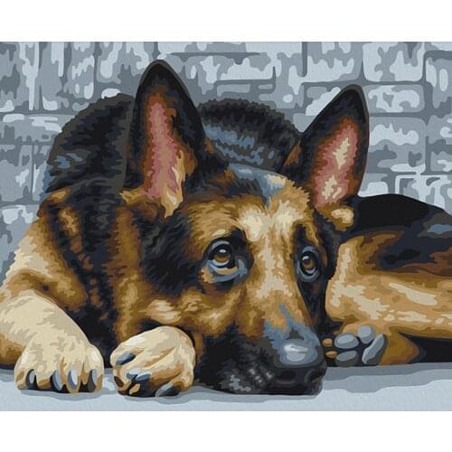 Painting By Numbers DIY Dropshipping40x50 50x65cm A Loyal Dog in Waiting Animal Handmade Gift For Adult Unique Gift Home Decor