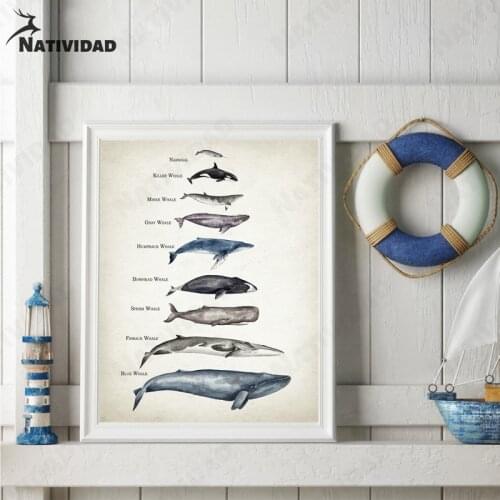 Marine Fish Specimen Canvas Painting Room Decor Abstract Art Print Poster Nordic Fashion Living Room Bedroom Home Decoration