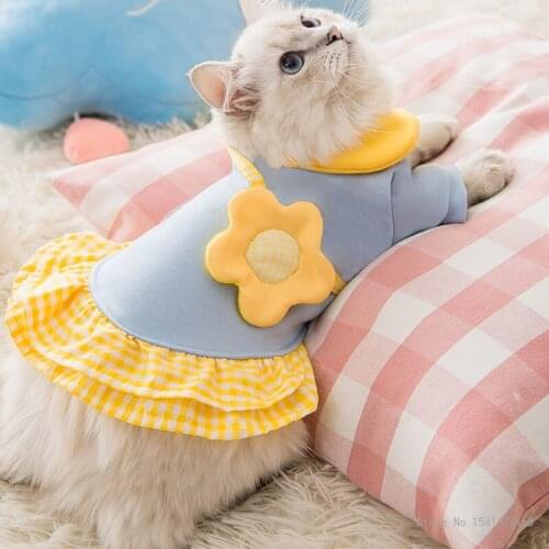 Summer new cat clothes sweater dress ruffled lace daisy skirt blue cat skirt spring and summer cat clothes dress for cats