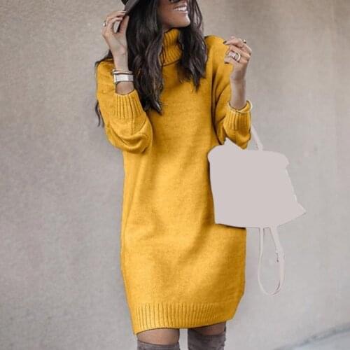 Turtleneck Long Sleeve Sweater Dress Women Autumn Winter Loose Tunic Knitted Pullovers Sweater Female Casual Solid Knit Dresses