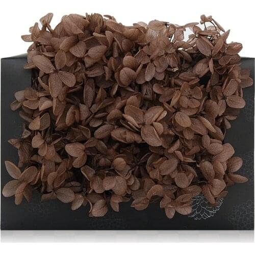 20g/lot,Grade A Natural Preserved Hydrangea,Retro color Eternelle Real Fresh Flower Head DIY Wedding party home decoration