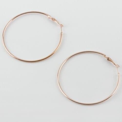 Locked Loop Earrings (7 cm)
