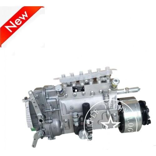 Diesel fuel injection pump 6AW148 BH6PW110 for weifu