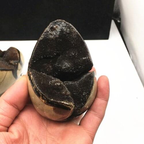 1pcs 130-160g Natural Rock Septarium Fossil Stone Geode Egg Shaped Ornament Gemstones Ornament Healing Chakra For Decoration