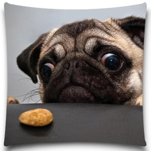 Bulldog and Biscuits Decorative Throw Pillows Case Cotton Polyester for Sofa Car Cotton Cushion Cover 5 size