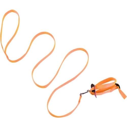 Portable New Parrot Bird Hamster Turtle Lizard Traction Rope Reins 8-shaped Pet Strap Leash 16FA