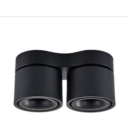 30W 40W Adjustable Surface Mounted LED Downlight 2x15W 2x20W 30W 40W COB LED Ceiling Lamps Down Light LED Spotlight Rotatable