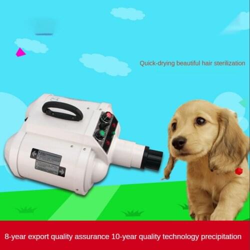3400W Power Hair Dryer For Dogs Pet Cat Grooming Blower Warm Wind Secador Fast Blow Small Medium