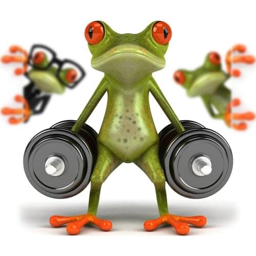 3D Frogs Waterproof Car Sticker Auto Motorcycle Decal Stickers vinyl Wrap Accessories Exterior Decoration accesorios para auto