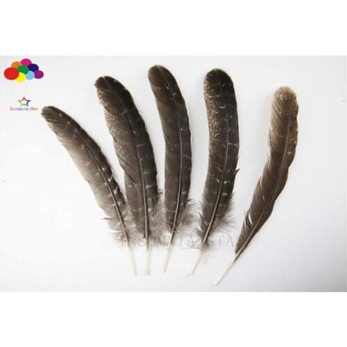 10-100pcs 100% natural premium pheasant Feathers 20-32cm/8-13inch brown tail beautiful for Diy costume Feather mask headdress