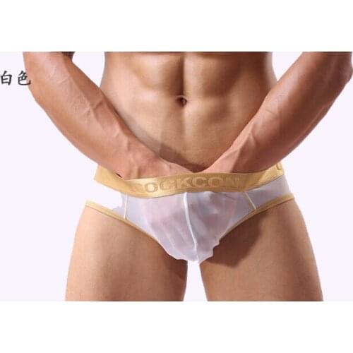 1Pcs Good Quality Men mesh briefs Shorts Mens Sexy Brand Underwear M-XXL