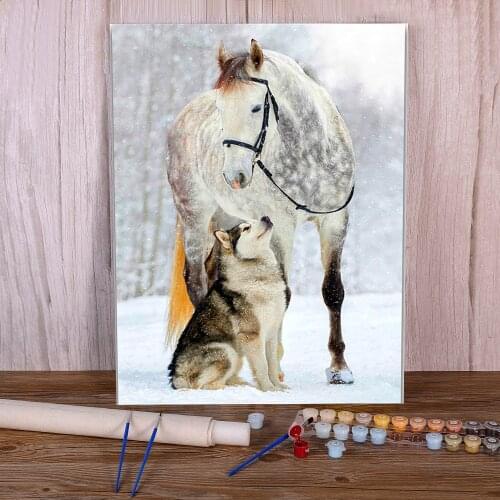 Animal Dog Husky DIY Paint By Numbers Set Oil Paints 40*50 Boards By Numbers Loft Wall Picture Children Drawing