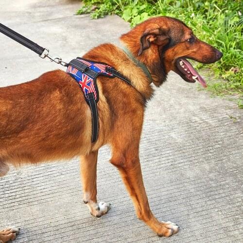 Dog Reflective Harness, Adjustable Soft Padded Pet Vest with Easy Control Handle for Dogs