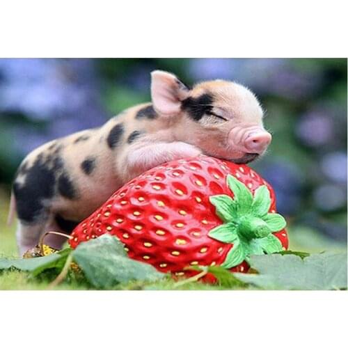 5D DIY Diamond Painting Animal Strawberry pig Diamond Embroidery Full Cross Stitch Rhinestone Mosaic Home Decor Handmade Gift