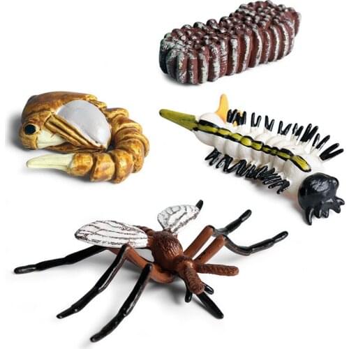 Simulation Animal Model Child Mini Animal Ant Mosquito Growth Cycle PVC Action Figures Doll Toy for Kids Gifts