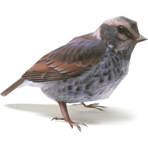 Dusky Thrush Bird Paper Model Realistic Animal Mini Cute Folding Card 3D Papercraft DIY Kids Adult Handmade Craft Toys WE-033