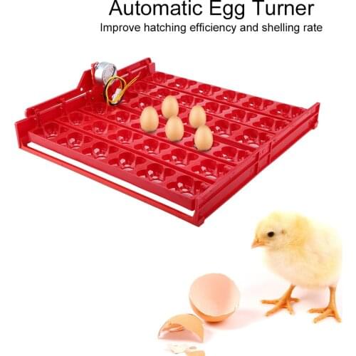36 Eggs/144 Bird Eggs Incubator Hatcher Automatic Egg Turning Tray Tool