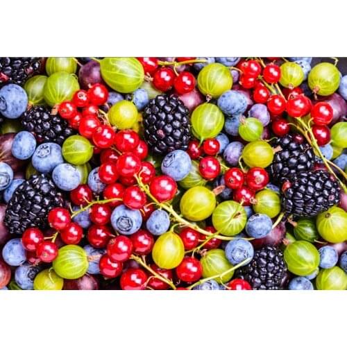 Wild fruit The wooden puzzle 1000 pieces ersion jigsaw puzzle white card adult childrens educational toys