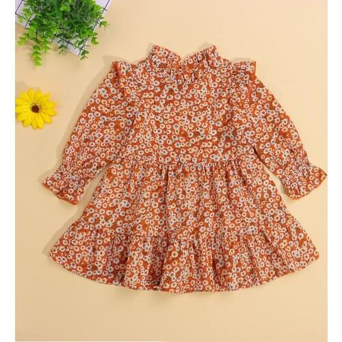 Little Girls Floral Print Dress Cute Long Sleeve Ruffle Collar Loose A-Line Dress Girls Casual Dresses