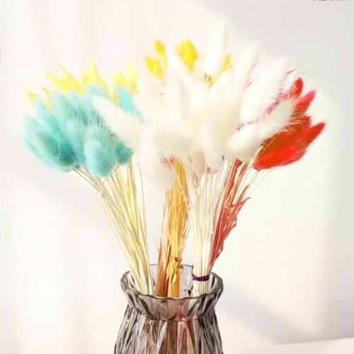 Natural Dried Flowers Rabbit Tail Grass Eucalyptus Bunch Colorful Real Flower Bouquet For Diy Home Wedding Decor