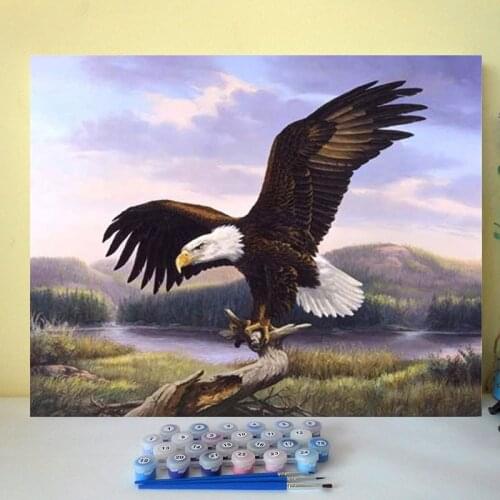 Diy oil painting by numbers Flying eagle, air tyrant, raptor, fierce and staunch, carnivorous, bird, office, feng shui