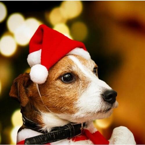Pets Christmas Hats Christmas Decorations For Home Cap Xmas Small Plush Santa Hat For Dog Cat Hat Happy New Year Gift SN3486
