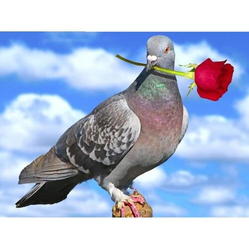 Cross Stitch Diy Diamond Embroidery Letter Pigeon Diamond Painting Full Square Rhinestone Diamond Mosaic Animal Home Decoration