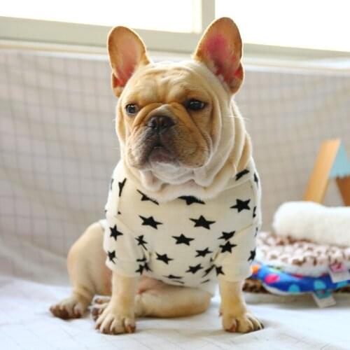 Two Legs Pet Outfit For Small Medium Puppies Animal Pet Shirt S XL Wholesale Shop Fashion Cotumes Supplies For Pugs Pitbull