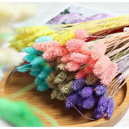 25/50PCS Real Wheat Ear Flower Decoration Natural Pampas Rabbit Tail Grass Dried Flowers for Wedding Party DIY Craft Decor