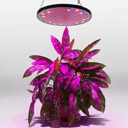 CARPRIE Plant Lamps