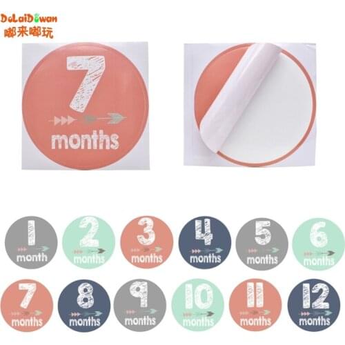 New Baby Pregnant Women Monthly Photograph Stickers Month 1-12 Milestone Stickers 12 Pcs/Set