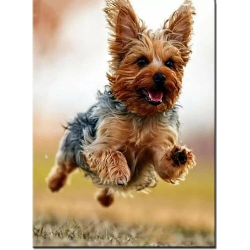 Yorkshire Terrier dog art portraits diamond mazayka diamond painting dog dimond painting full square round drill embroidery kit