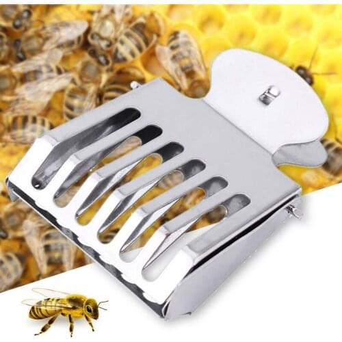5PCS Beekeeping Tool Stainless Steel Queen Cage Clip Queen Bee Catcher Beekeeping Supplies