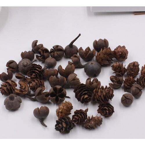 60 pcs/lot Natural Dried Fir Pine Cone,Fir Trees Fruit Retro Photo Shooting Props