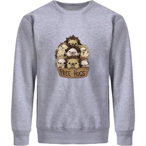 Cute Little Hedgehog Sweatshirts Free Hugs Cartoon Printing Men Sweatshirt Korean Casual Mens Hoodie Long Sleeve Hip Hop Clothes