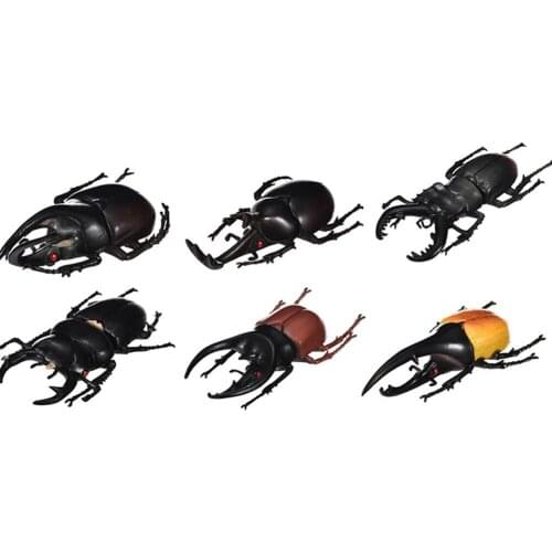 6Pcs Simulation Beetle Insect Model Kids Adult Toy Halloween Prank Trick Props Plastic Non-Toxic PVC Insect Toy Halloween Props