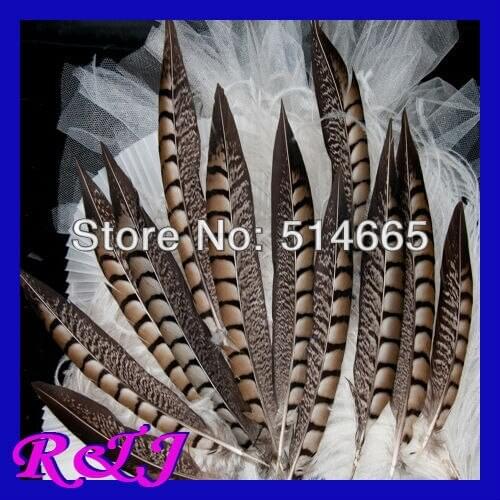 Free Shipping 50pcs/lot lady amherst pheasant Feather pheasant side tail feather 15-20cm 6-8 inches