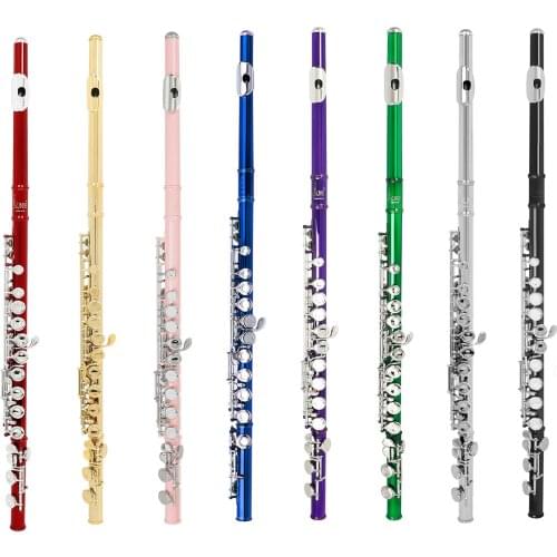 16 Holes C Key Flute Western Concert Flute Cupronickel Nicke Plated Woodwind Instrument & Cleaning Cloth Stick Gloves Mini Case