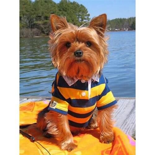 H1176 diamond painting full square dogs, 5d diamond embroidery anmial dog