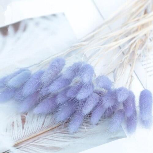 Bulrush Natural Dried Flowers Artificial Plants Branch Colorful INS Pampas Grass Phragmites Fake Flower Wedding Home Decoration