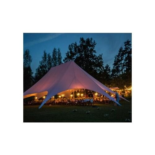 12m x 17m Two Poles Star Tent Trade Show Event for Outdoor Display Exhibition Party Gathering Meeting Fly Spider Wedding Marquee