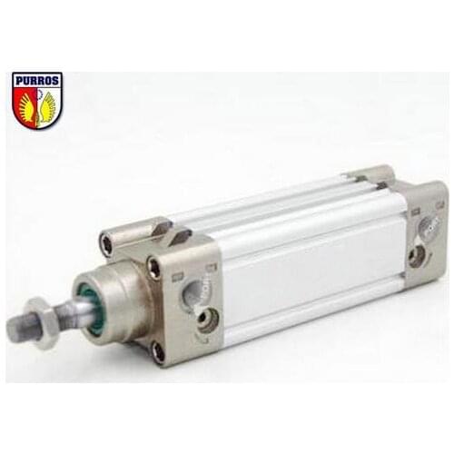 DNC 100 Cylinder, Bore: 100mm, Stroke: 1000mm