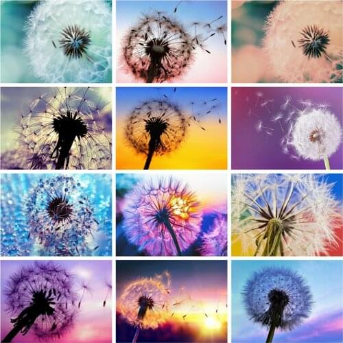 Huacan 5D Diamond Painting Full Drill Dandelion Diamond Embroidery Complete Kit Mosaic Landscape Beaded Pictures Home Decor