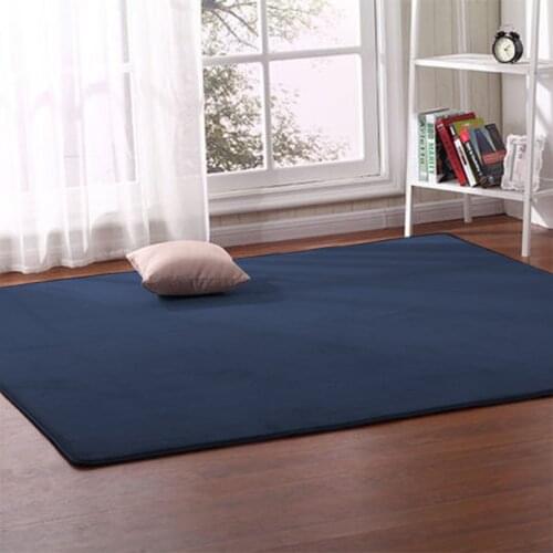 Coral velvet carpet living room sofa coffee table rug bedroom bay window bedside blanket baby crawling mat yoga cushion 1.4*2.0m