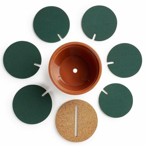 Novelty 6-Piece-Coaster-Flower-Cactus-Shaped Drinks Coasters Cup Holder Table Decoration Mats