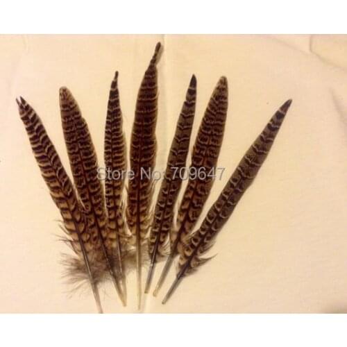 100Pcs/lot! Ringnecked "Hen" Pheasant Tail Feathers 8-10" 20-25cm Nature Colour,plumas para manualidades,pheasant feathers