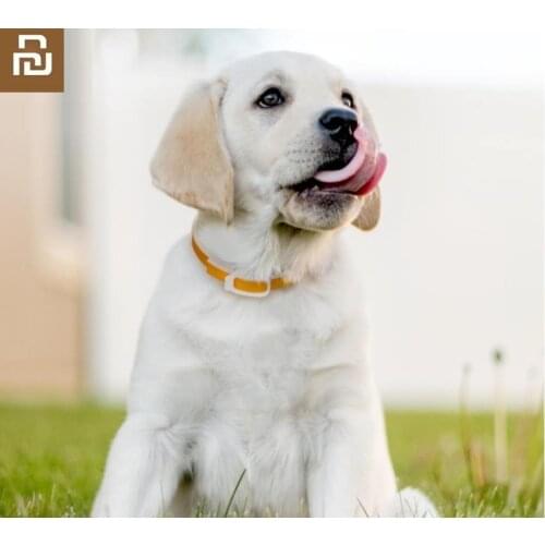 Youpin New Essential oil deworming collar safety Isolation of mosquitoes Destruction Deworming For Cat dog Pet collar