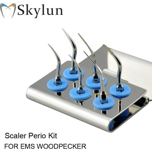Dental Ultrasonic Scaler Tips kit scaler Perio Kit EPKS P1 x2, P3, P4, P3D, P4D +Holder Fit EMS & Woodpecker Silver AT11
