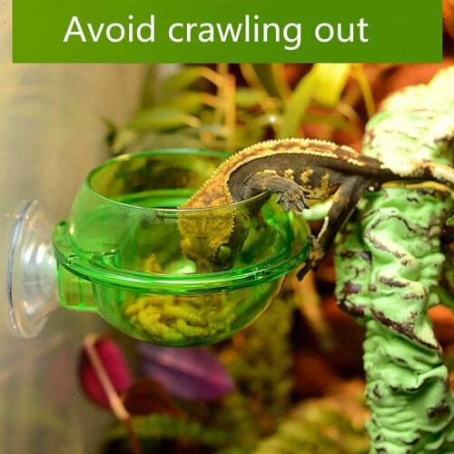 1pc Food Bowl Cup Turtle Lizard Worm Live Food Container Reptile Anti-escape