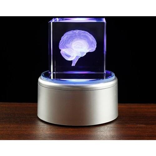 Antique Crystal 3D Brain Model Laser Engraving Brain Sculpture Figurines Home Decoration